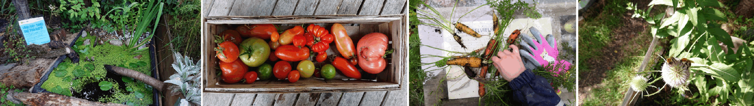 Mehr über den Artikel erfahren Rückblick 2025