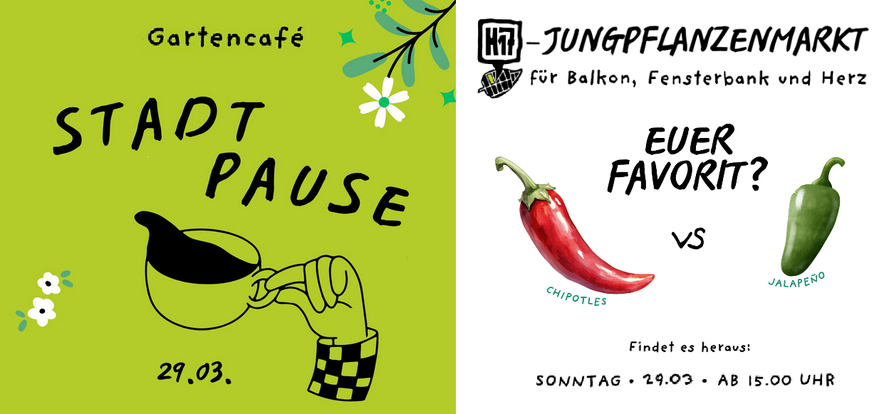 Du betrachtest gerade Café und Jungpflanzenmarkt