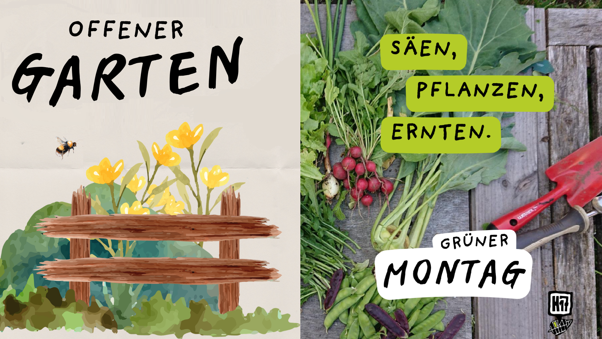 Du betrachtest gerade Offener Garten & Grüner Montag