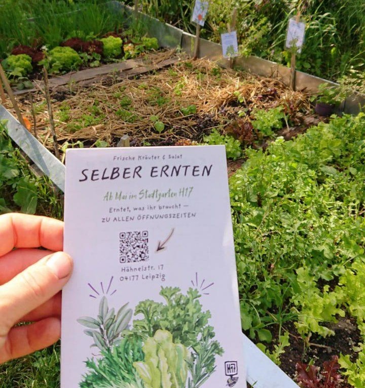 Mehr über den Artikel erfahren SELBER ERNTEN & GENIEßEN
