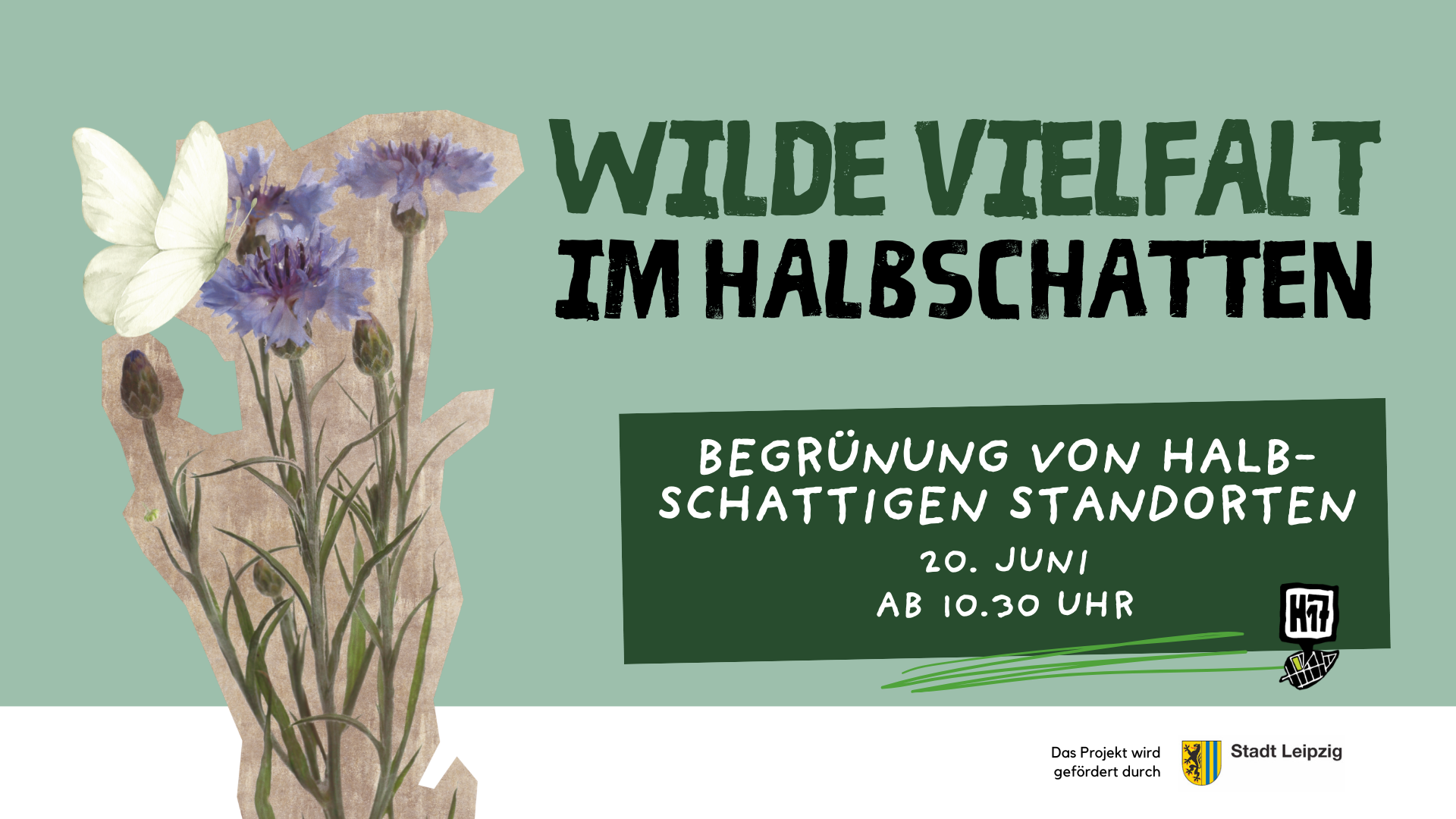 Du betrachtest gerade WORKSHOP: Wilde Vielfalt im Halbschatten
