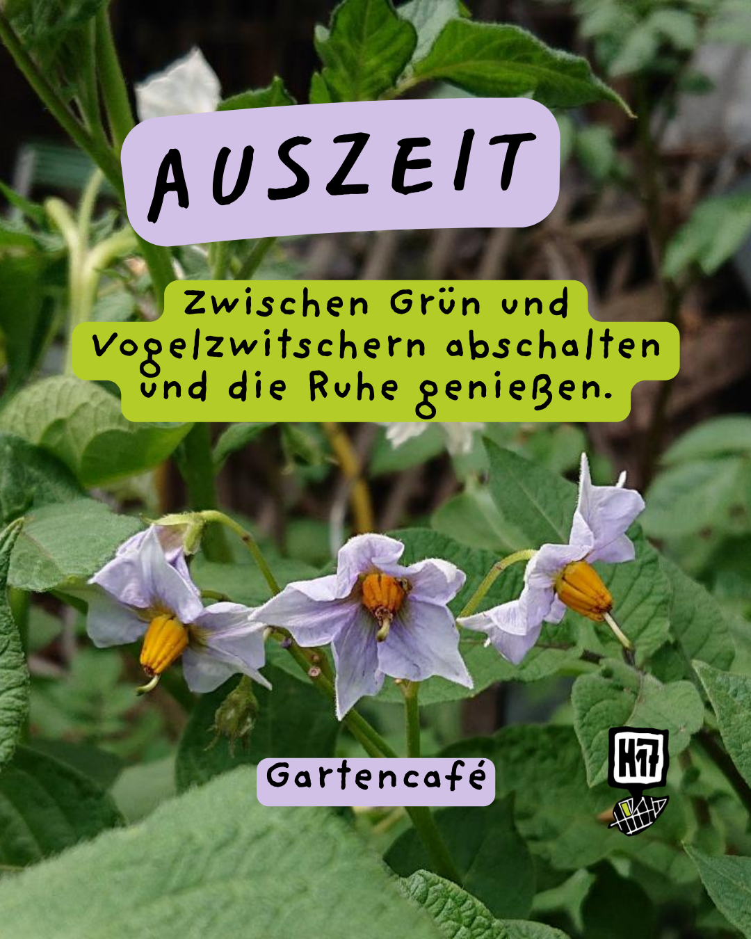 Du betrachtest gerade GARTENCAFÈ & AUSSTELLUNGS-ERÖFFNUNG