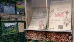 Mehr über den Artikel erfahren Hitzewelle überstanden? – Naturschutz im Klimawandel mit neuen Biotopen in der H17