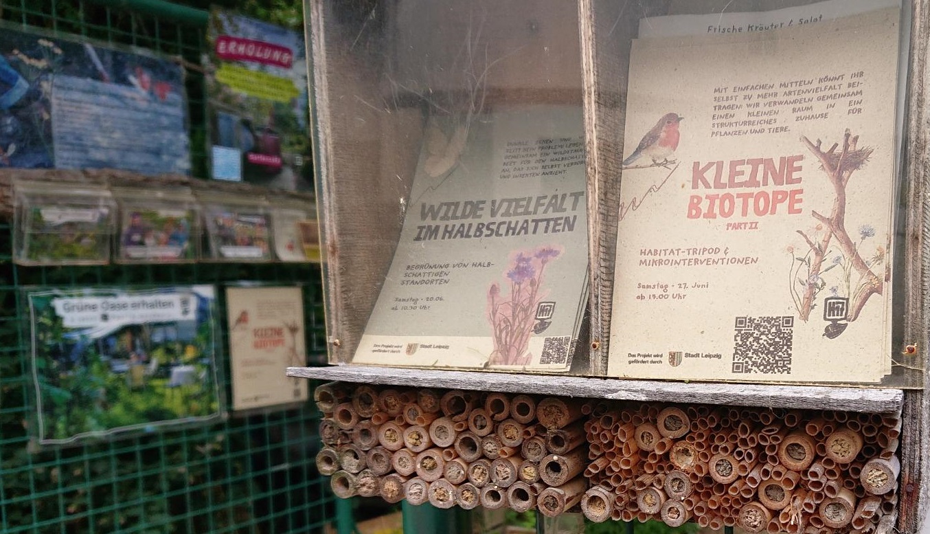 Mehr über den Artikel erfahren Hitzewelle überstanden? – Naturschutz im Klimawandel mit neuen Biotopen in der H17