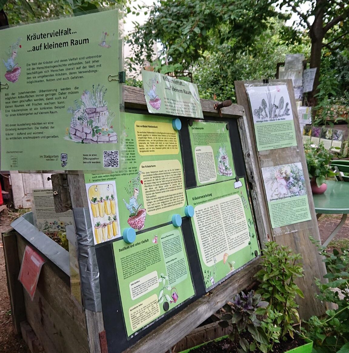 Mehr über den Artikel erfahren Ausstellung KRÄUTERVIELFALT AUF KLEINEM RAUM